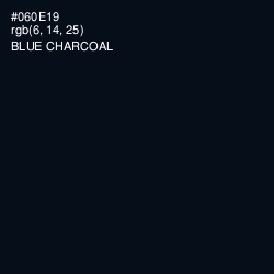 #060E19 - Blue Charcoal Color Image